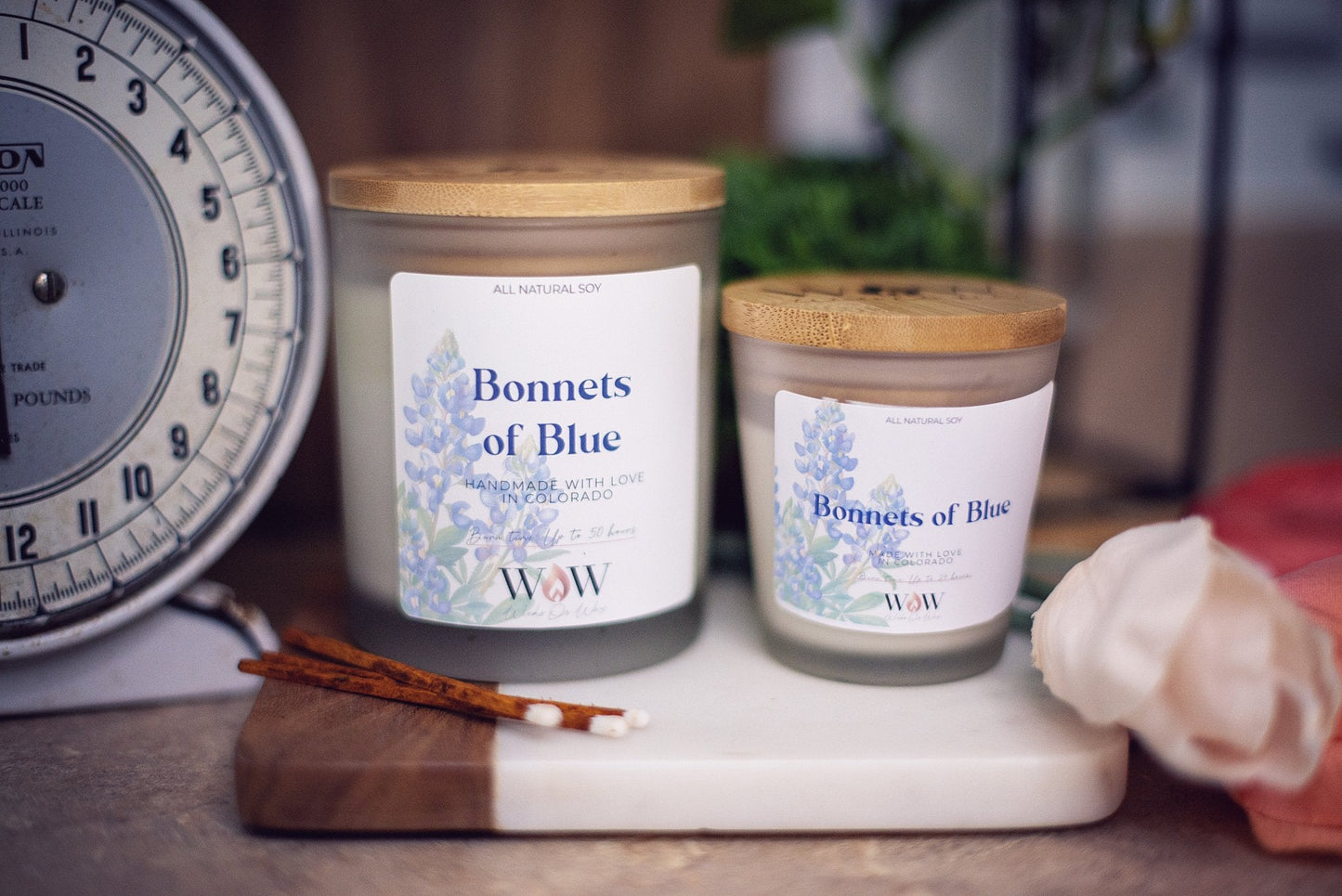 Candles - Wicks Or Wax (WOW)Candles