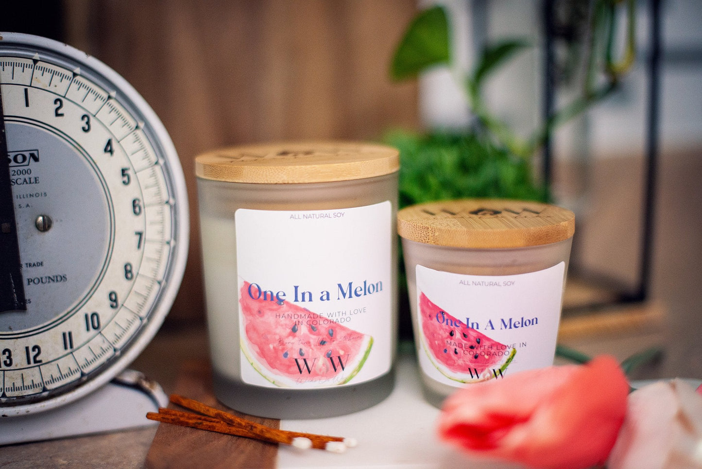 One In a Melon - Wicks Or Wax (WOW)One In a Melon