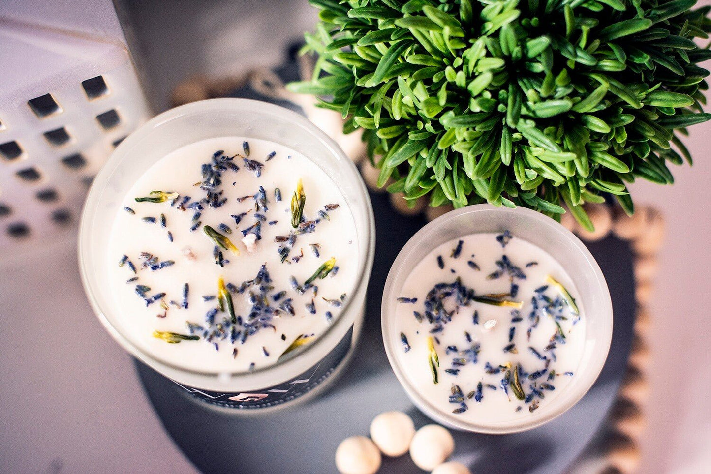 Tranquility - Wicks Or Wax (WOW)Tranquility