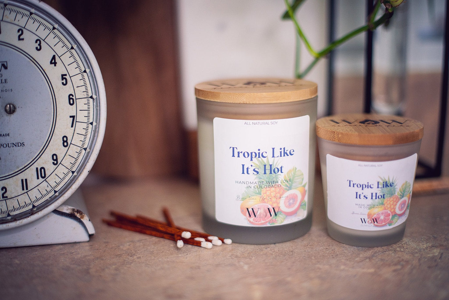 Tropic Like It’s Hot - Wicks Or Wax (WOW)Tropic Like It’s Hot